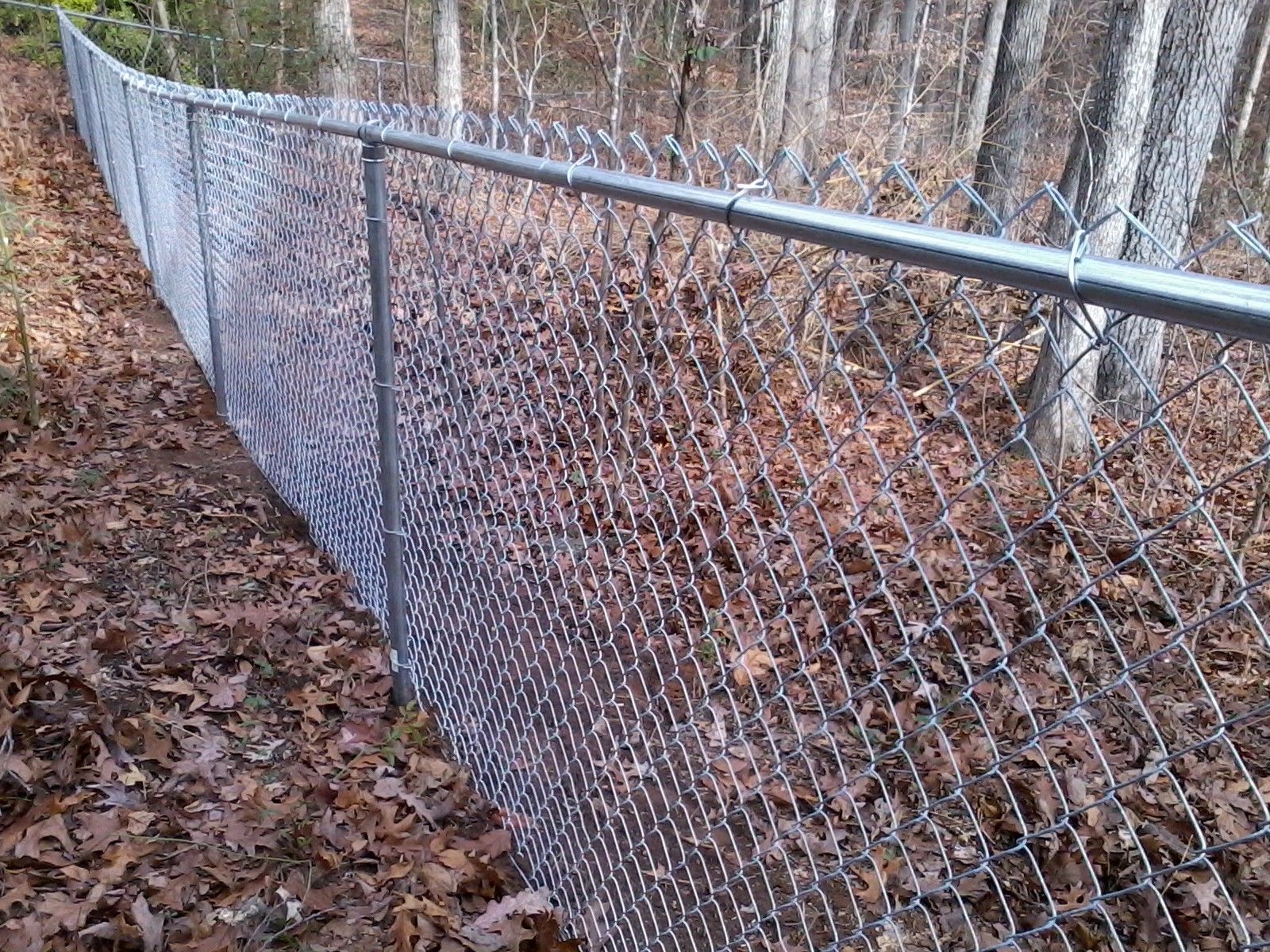 Alcovy Fence